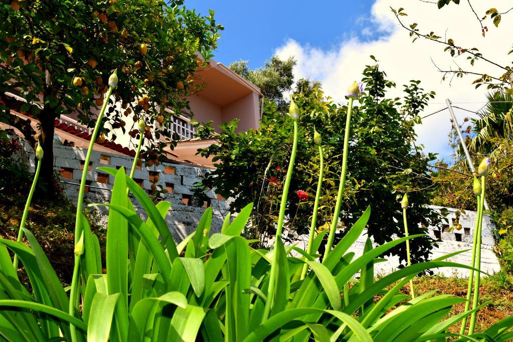 Eden Sea View Studios Mesongí Екстериор снимка