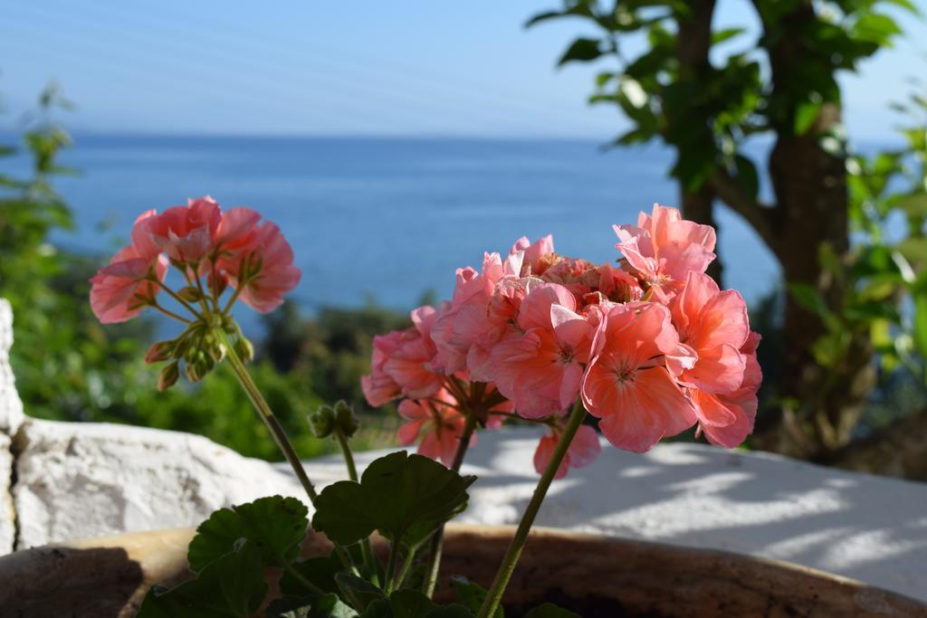 Eden Sea View Studios Mesongí Екстериор снимка